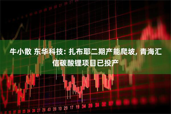 牛小散 东华科技: 扎布耶二期产能爬坡, 青海汇信碳酸锂项目已投产